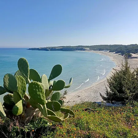 Petite Maison 46 Tatil Evi